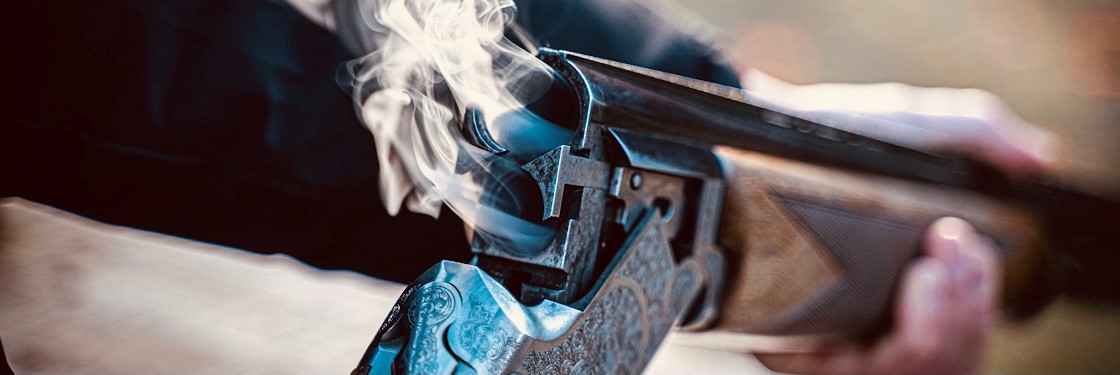 Gun showroom - Guns in glass cabinates